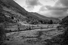 DJI_0121.00_02_30_00.Still003