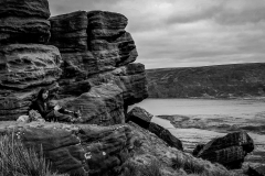 Sequence-01.00_12_26_04.Still017-2